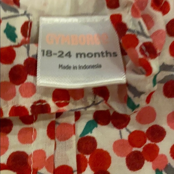 Gymboree berry smock shirt - Picture 2 of 2